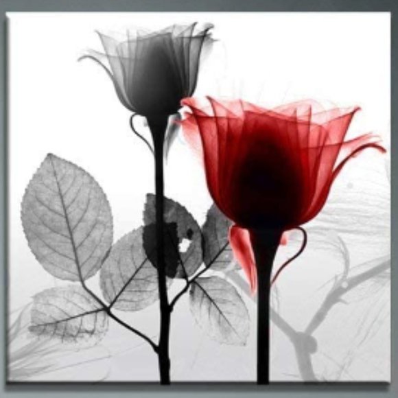 8 12"x12" Floral Pictures - Picture 5 of 14